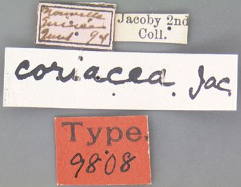 Media type: image; Entomology 9808   Aspect: labels